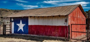 ¿Qué es la Cobertura para Otras Estructuras?