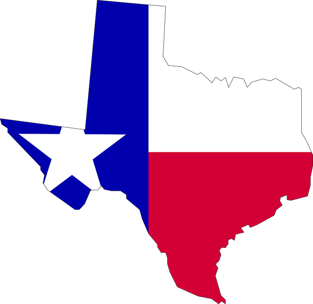 Texas state outline with texas flag inside