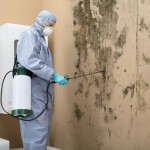 A technician cleaning mold damage in a home.