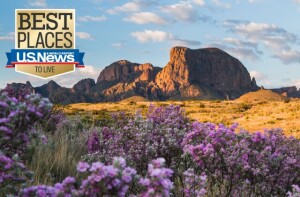 best places to live in texas