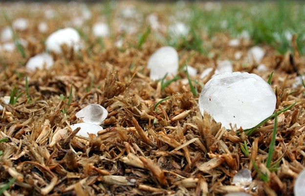 how-to-stay-insured-against-colorado-hail-damage