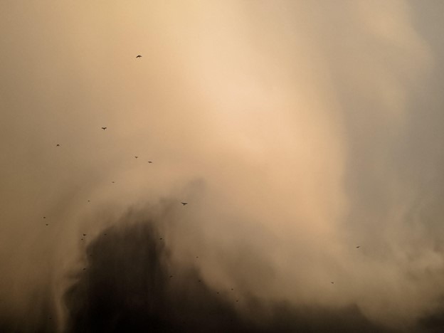 how-to-save-money-and-protect-your-property-from-a-dust-storm-in-colorado