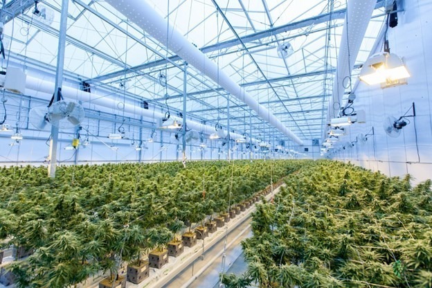 have-car-accidents-increase-in-colorado-since-legalization