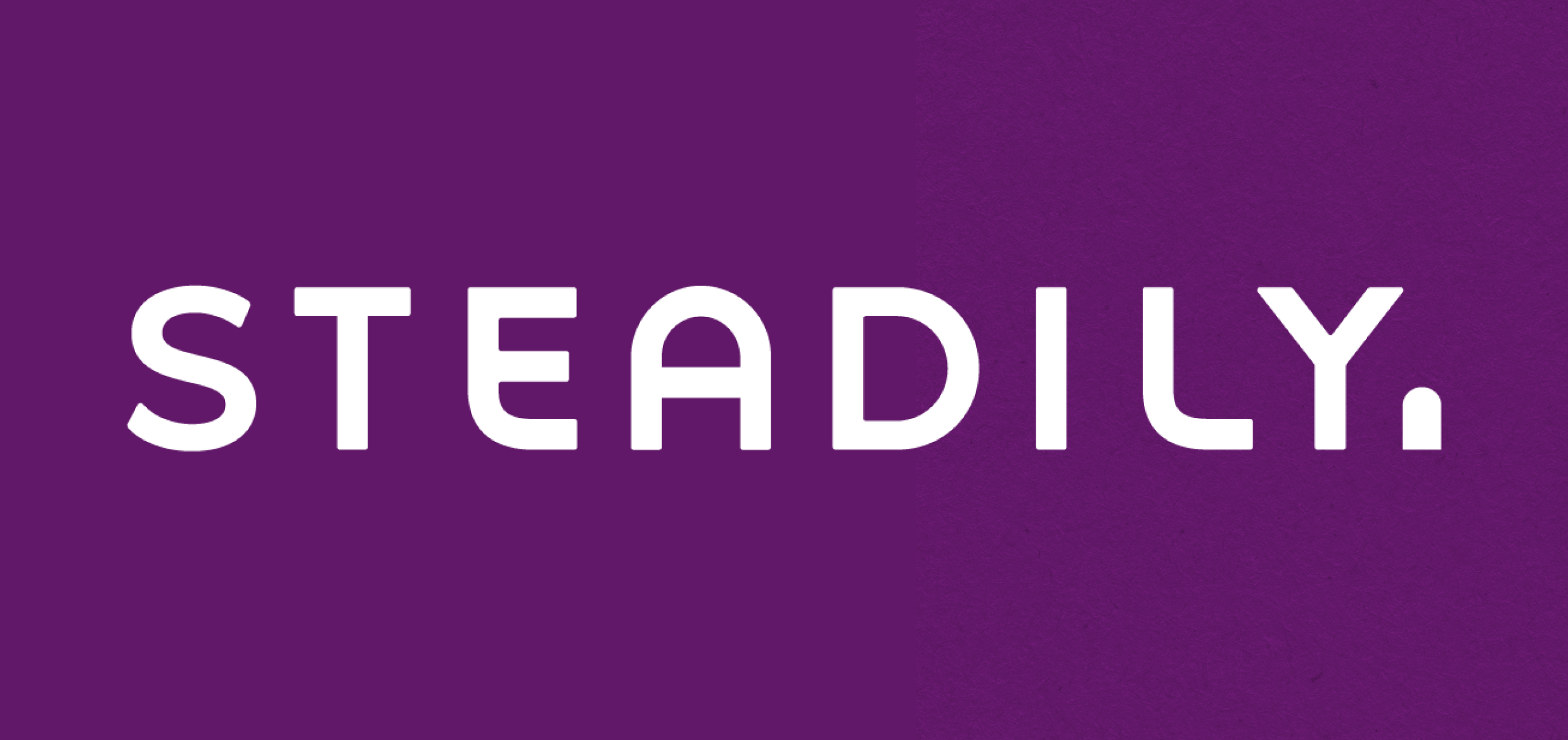 Steadily insurance logo