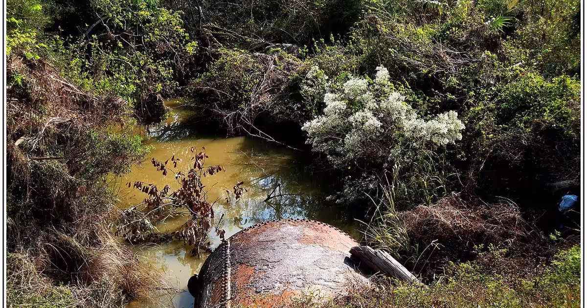Baytown Texas bar ditch Evergreen Road 10-11-2008 Baytown Texas Bar Ditch Evergreen Road 10-11-2008