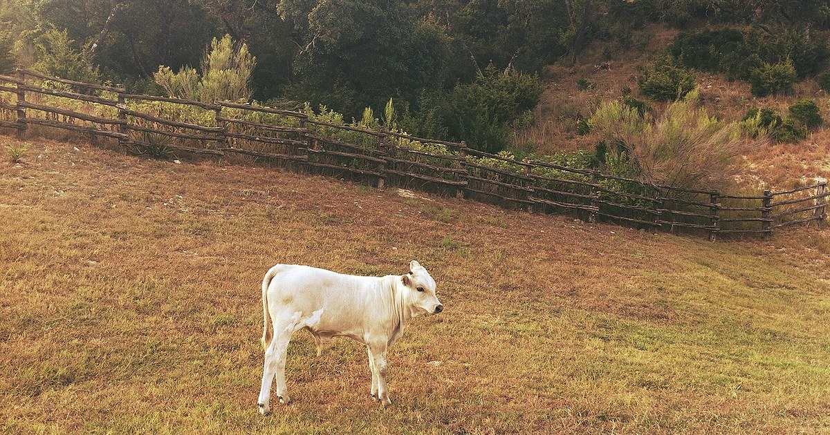 Boerne, United States Boerne, United States (Unsplash)