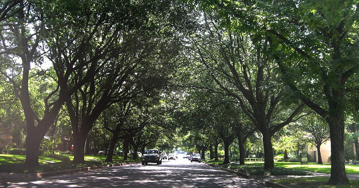 Tree-lined road of Highland Park, Texas Highland Park, Texas