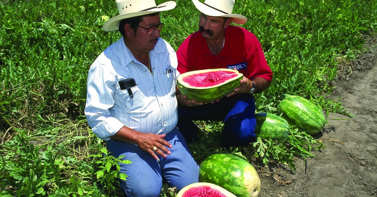 Raymondville, Texas