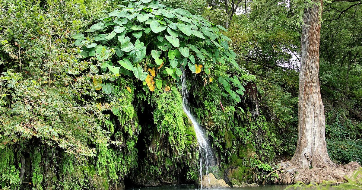 The natural pool at Krause Springs near Spicewood, Texas, United States. Krause springs natural pool 2013