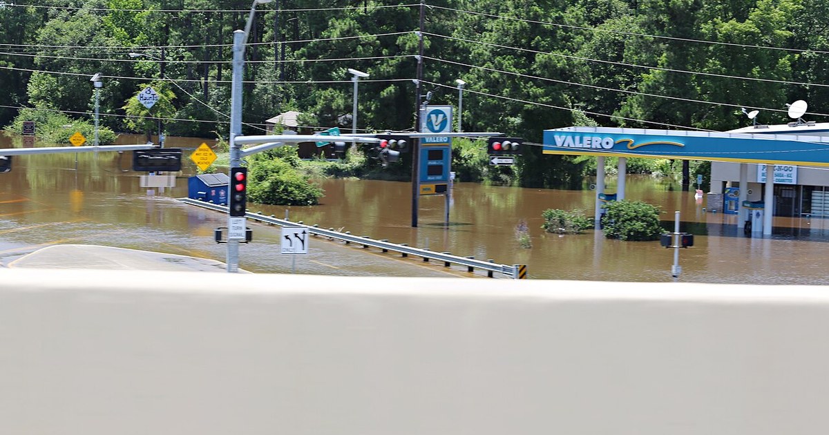 2090 in Splendora 2090 in Splendora (26704866264)