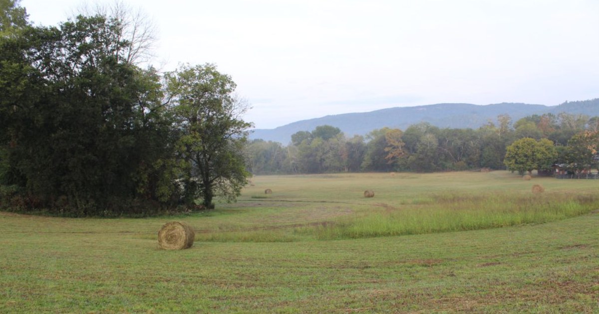 Photograph from https://www.graysvilletn.gov/