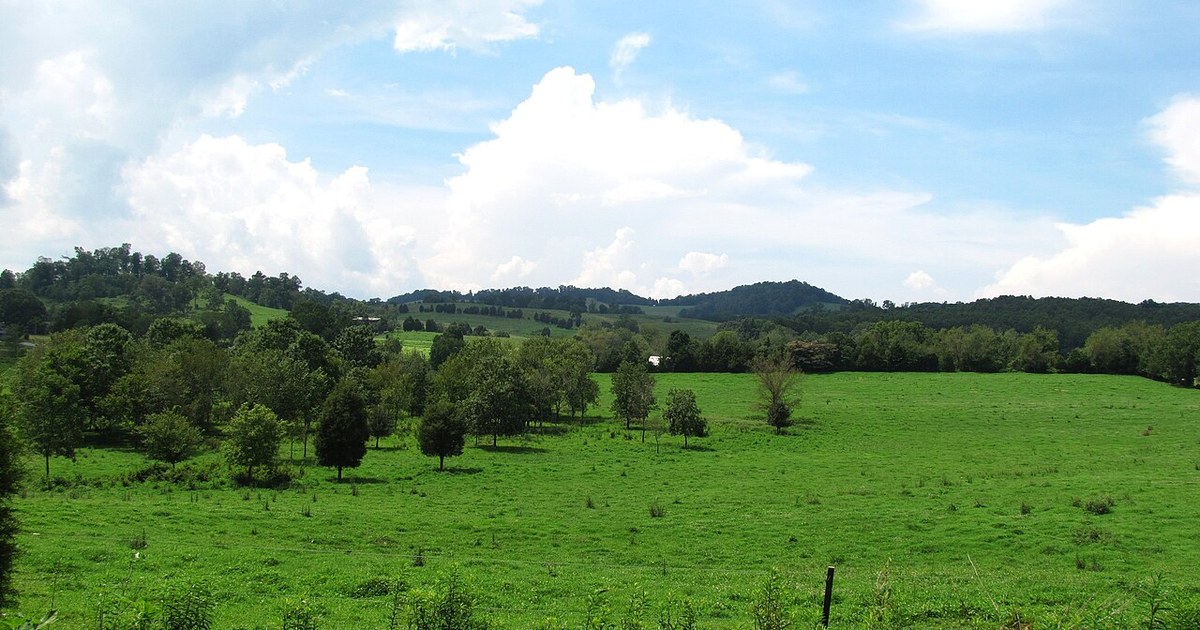 Lone Oak, Tennessee