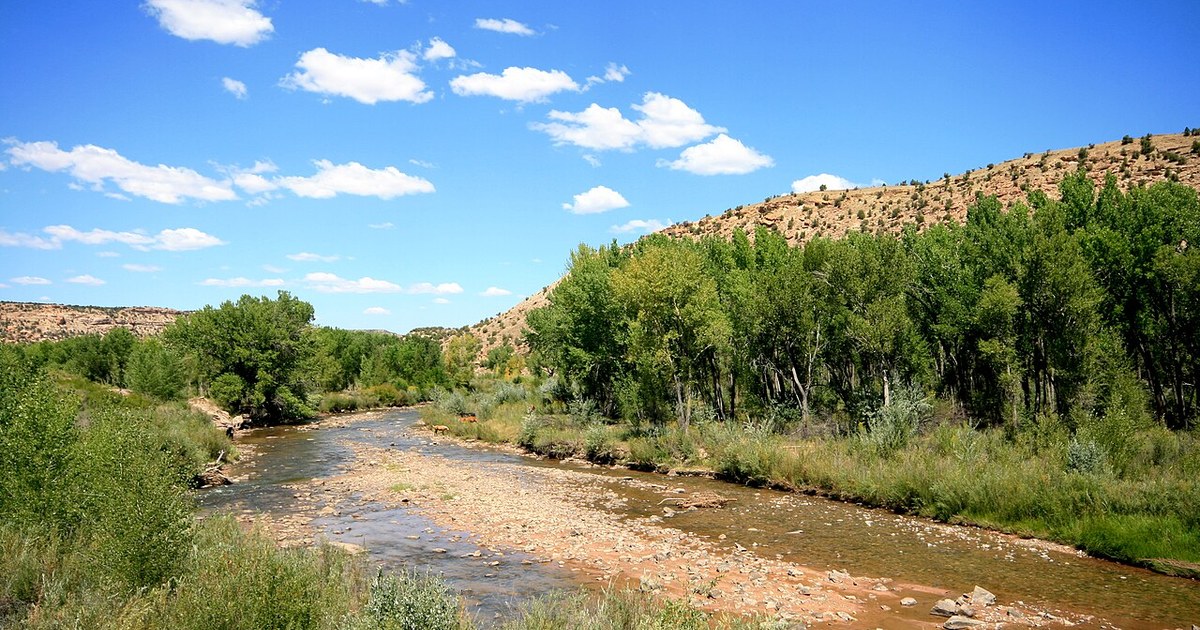 Horses in the San Miguel River.... San Miguel River near Nucla Colorado..