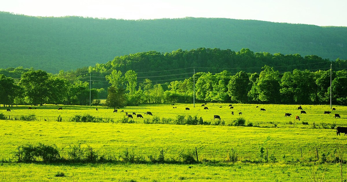 Powells Crossroads, Tennessee