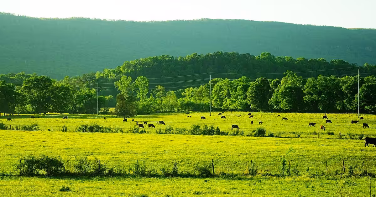 Powells Crossroads, Tennessee