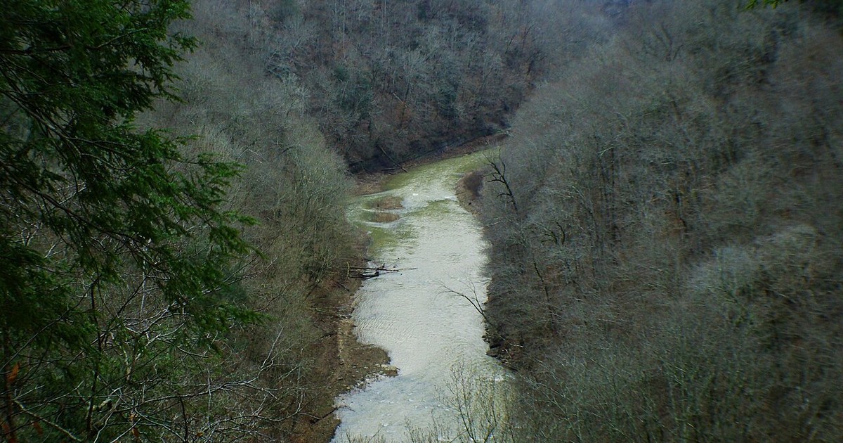 Ridgetop, Tennessee