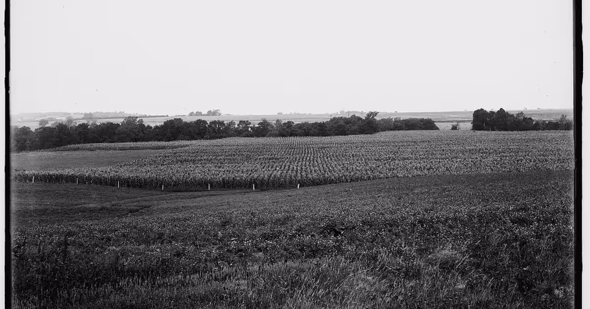 Curve to be straightened, near Oak Grove, Mo.