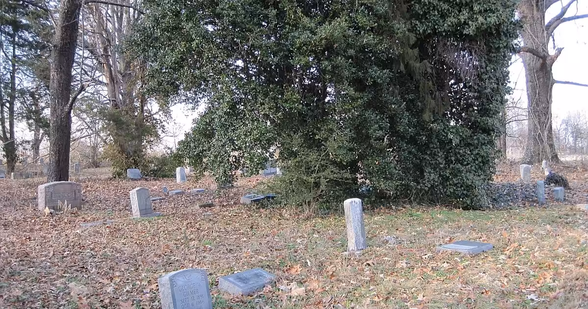 Mount Carmel, Tennessee
