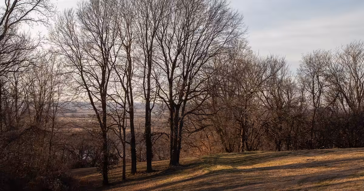 Lexington, Missouri